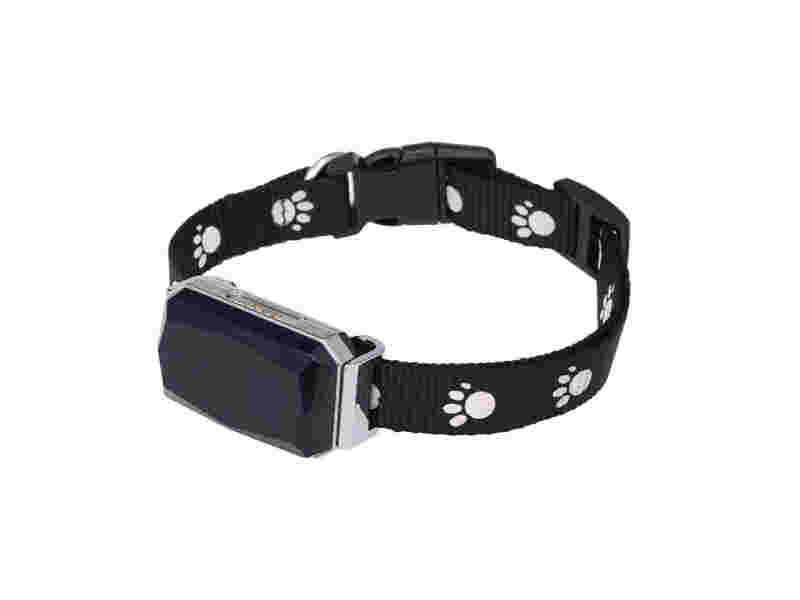 PET SMART GPRS TRACKER WiFi/GSM/2G WITH COLLAR IP67