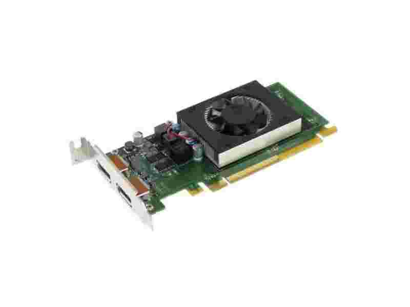 VGA 2GB DDR5 RADEON R520 DUAL DISPLAY PORT PCI-EX LP