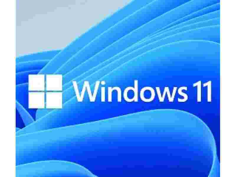 MS WINDOWS DSP 11 PRO 64-BIT GR